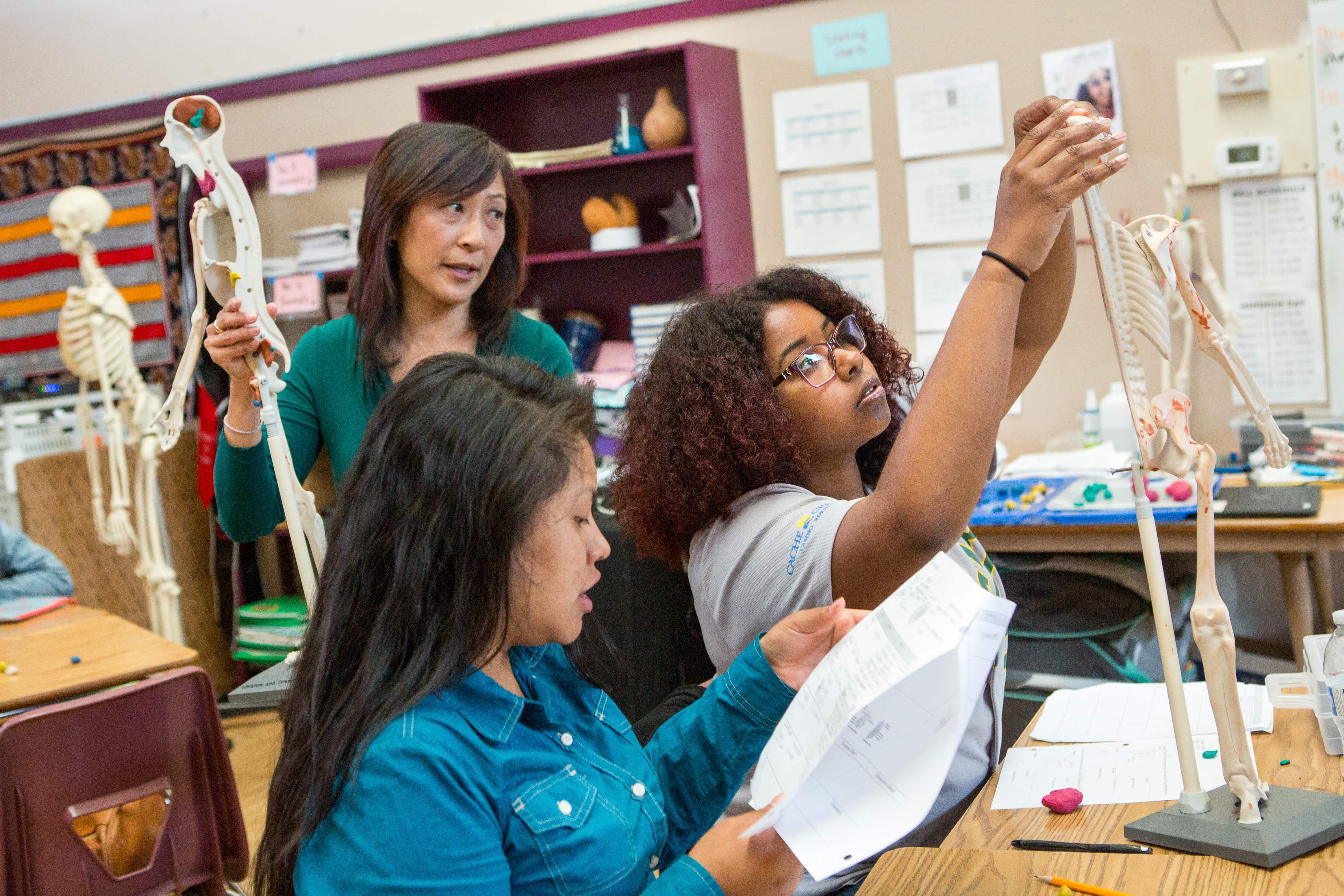 Students in an anatomy class